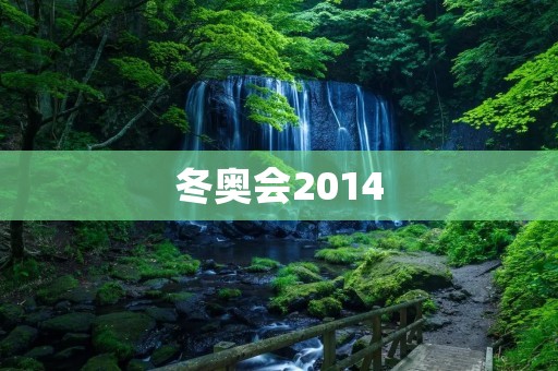 冬奥会2014：一场冰雪盛宴的背后故事