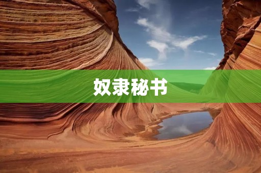 奴隶秘书:无声的苦役者