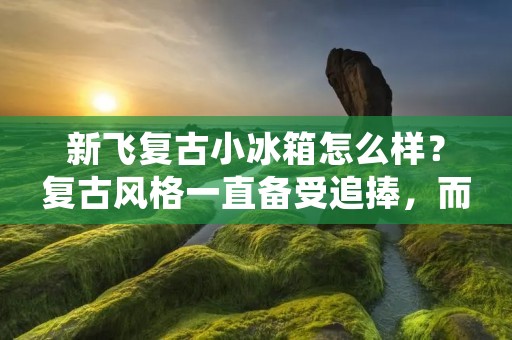 新飞复古小冰箱怎么样？复古风格一直备受追捧，而新飞复古小冰箱作为市场上备受瞩目的产品，备受消费者青睐。它以其独特的设计风格和可靠的性能而闻名。那么，让我们来详细了解一下新飞复古小冰箱的特点和优势。