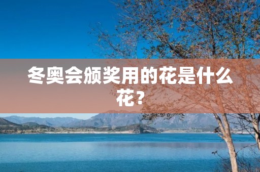冬奥会颁奖用的花是什么花? 冬奥会颁奖用的花是什么花?