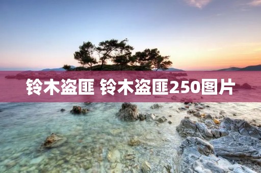 铃木盗匪 铃木盗匪250图片 铃木盗匪 铃木盗匪250图片