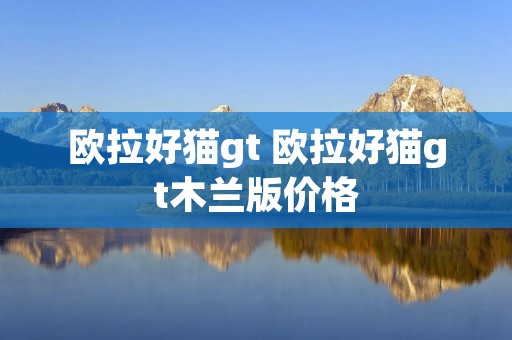 欧拉好猫gt 欧拉好猫gt木兰版价格