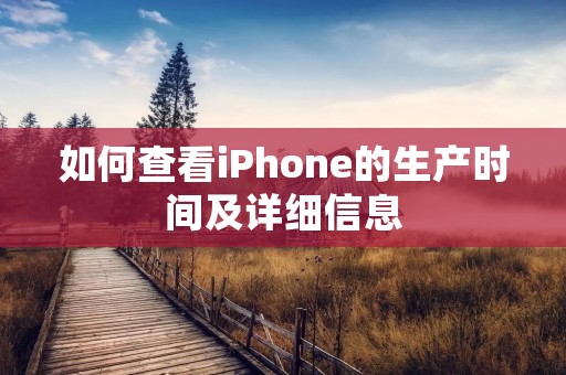 如何查看iPhone的生产时间及详细信息