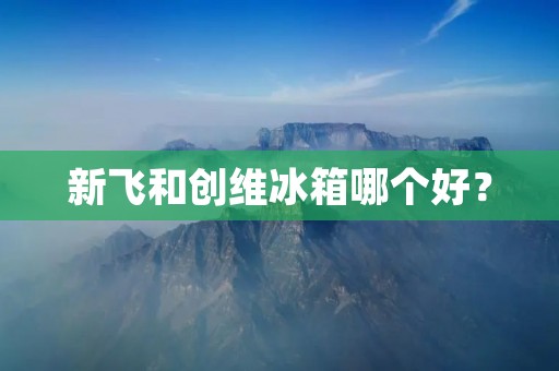 新飞和创维冰箱哪个好？