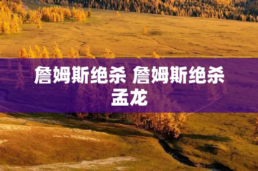 詹姆斯绝杀 詹姆斯绝杀孟龙 詹姆斯绝杀 詹姆斯绝杀孟龙