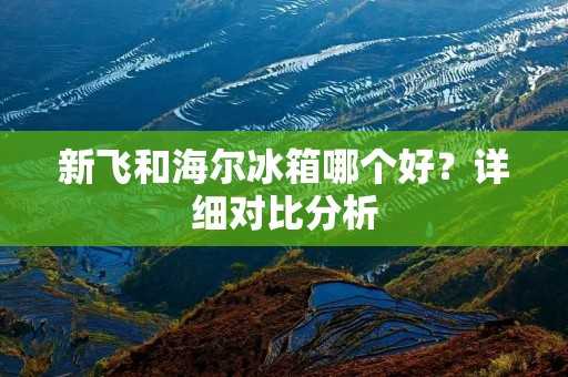 新飞和海尔冰箱哪个好？详细对比分析