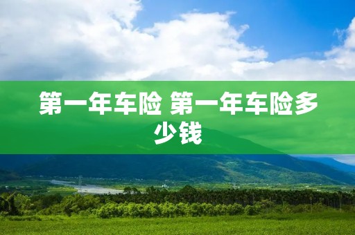 第一年车险 第一年车险多少钱 第一年车险 第一年车险多少钱