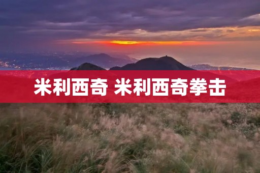 米利西奇 米利西奇拳击