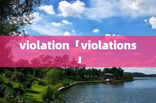 violation「violations」