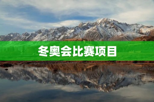 冬奥会比赛项目：绚丽多彩的冰雪竞技盛宴