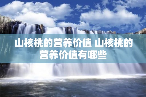 山核桃的营养价值 山核桃的营养价值有哪些