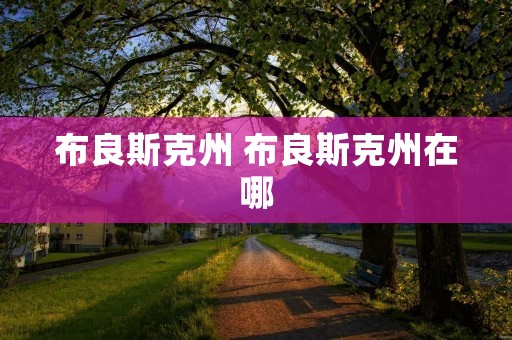 布良斯克州 布良斯克州在哪