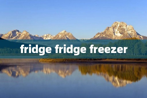 fridge fridge freezer