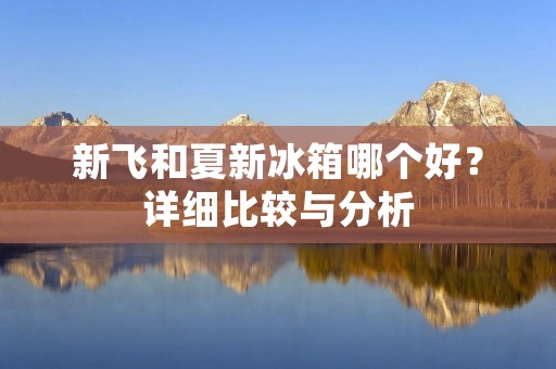 新飞和夏新冰箱哪个好？详细比较与分析