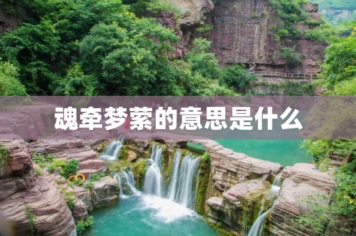 魂牵梦萦的意思是什么