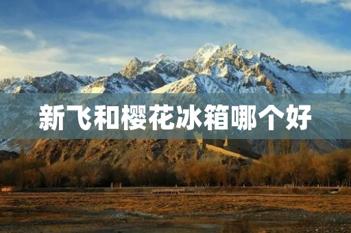 新飞和樱花冰箱哪个好