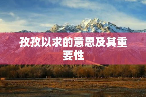 孜孜以求的意思及其重要性