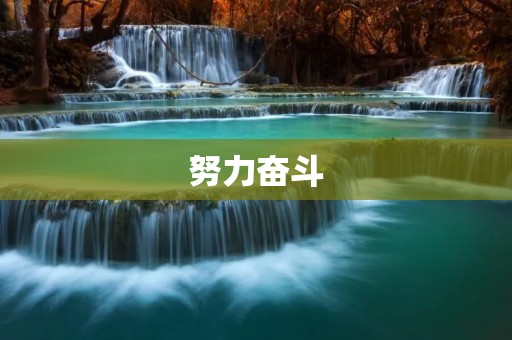 努力奋斗:追寻梦想的不懈努力