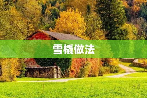 雪橇做法：轻松制作完美的雪橇体验