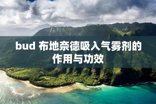 bud 布地奈德吸入气雾剂的作用与功效