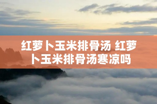 红萝卜玉米排骨汤 红萝卜玉米排骨汤寒凉吗