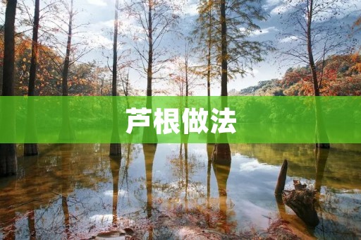 芦根做法:发掘芦根的独特魅力 芦根做法:发掘芦根的独特魅力
