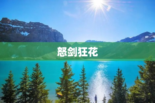 怒剑狂花:绝世剑客的传世之花