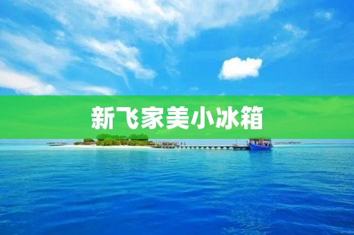 新飞家美小冰箱：高性能冷藏解决方案
