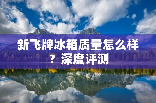 新飞牌冰箱质量怎么样?深度评测 新飞牌冰箱质量怎么样?深度评测