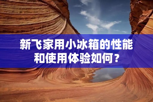 新飞家用小冰箱的性能和使用体验如何？