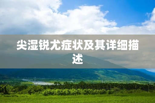 尖湿锐尤症状及其详细描述