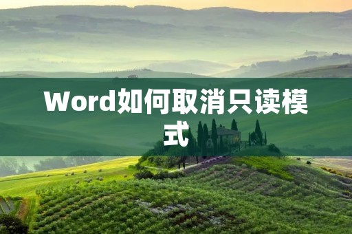 Word如何取消只读模式
