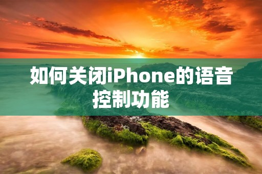 如何关闭iPhone的语音控制功能