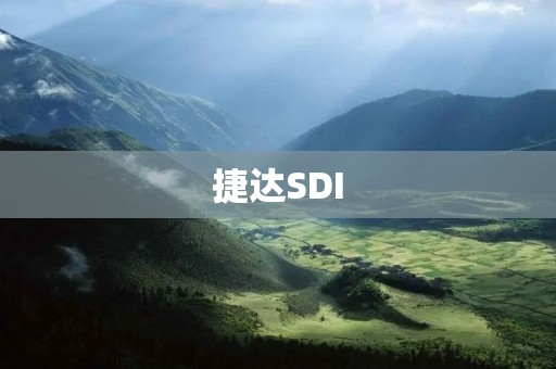 捷达SDI:经典品质,卓越性能的选择 捷达SDI:经典品质,卓越性能的选择