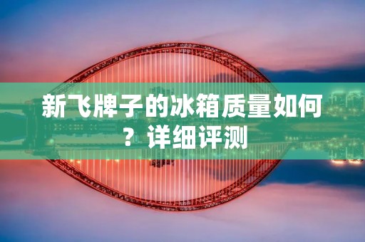 新飞牌子的冰箱质量如何？详细评测