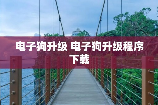 电子狗升级 电子狗升级程序下载 电子狗升级 电子狗升级程序下载
