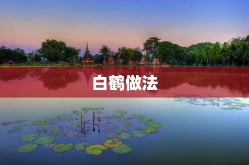 白鹤做法：传统技艺的绝美展现
