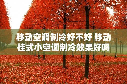 移动空调制冷好不好 移动挂式小空调制冷效果好吗