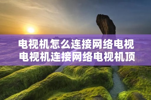 电视机怎么连接网络电视 电视机连接网络电视机顶盒显示无设备
