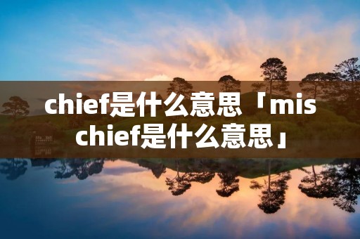 chief是什么意思「mischief是什么意思」