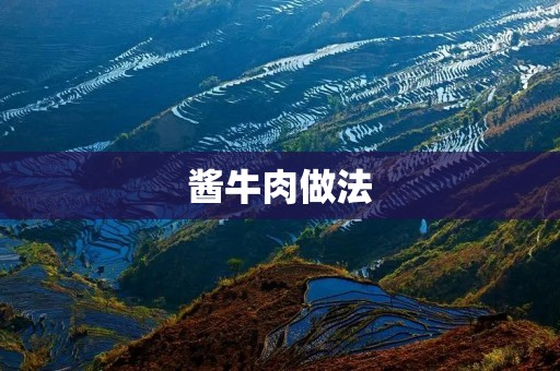 酱牛肉做法:醇香口感,美味无比 酱牛肉做法:醇香口感,美味无比