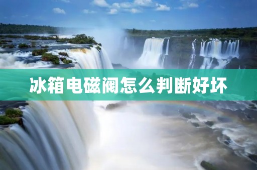 冰箱电磁阀怎么判断好坏 冰箱电磁阀怎么判断好坏