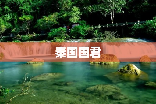 秦国国君:嬴政的崛起与统一中原