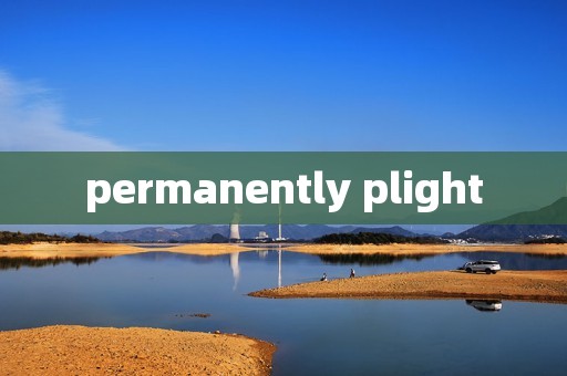 permanently plight