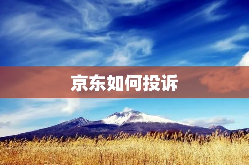 京东如何投诉：保护消费者权益的有效途径