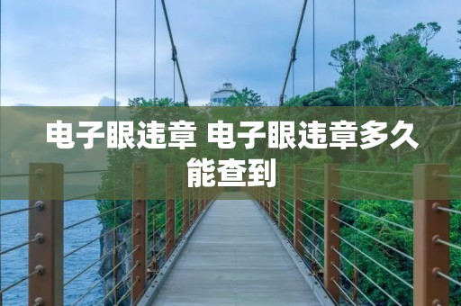 电子眼违章 电子眼违章多久能查到