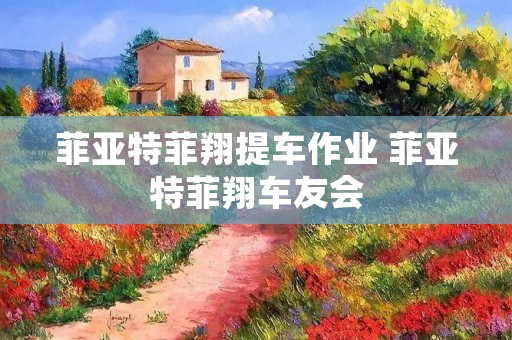 菲亚特菲翔提车作业 菲亚特菲翔车友会 菲亚特菲翔提车作业 菲亚特菲翔车友会