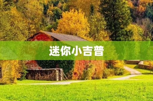 迷你小吉普:小巧身材中蕴含的巨大力量 迷你小吉普:小巧身材中蕴含的巨大力量