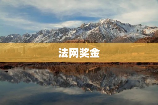 法网奖金：探索法网奖金背后的故事