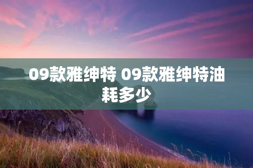 09款雅绅特 09款雅绅特油耗多少
